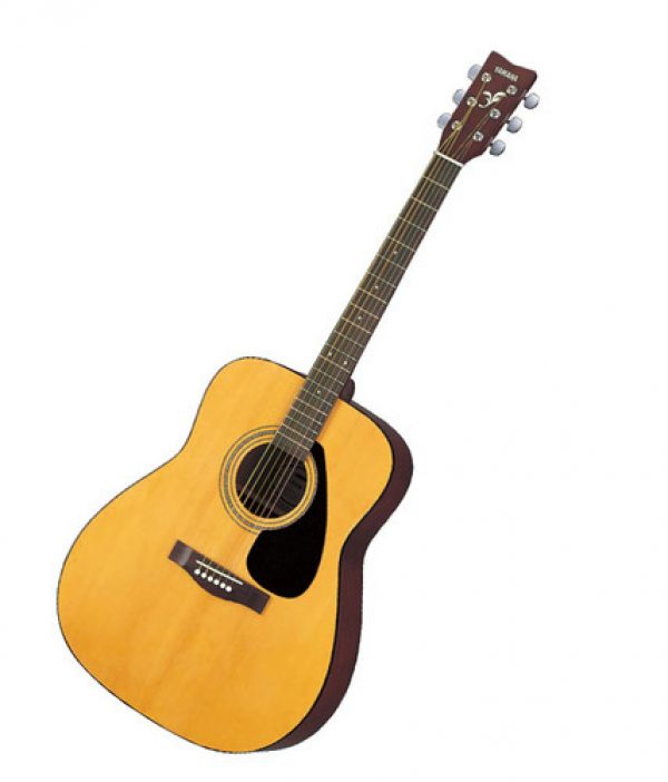 Dreadnought Acoustic Guitar